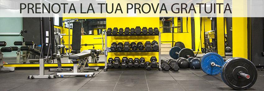 provegratuitesocrates