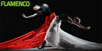 Flamenco