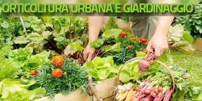 Orticoltura urbana