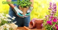 Giardinaggio