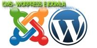 CMS - Wordpress